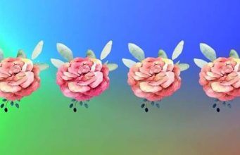 Test Your Color Vision With These Quizzes.