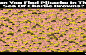 Can You Find The Pikachu Hidden Among The Charlie Browns?