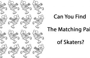 Can You Find The Matching Pair of Skaters?