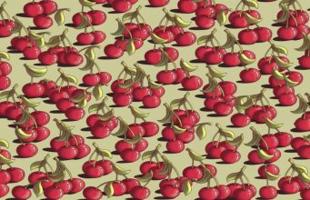 Can you spot A TOMATO among these cherries?