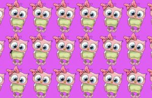 Most people fail: Can you spot two owls are different from the rest?