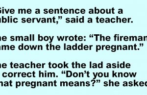 A teacher asked a student to give her sentence about a public servant