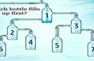 Which bottle will up first in the picture?