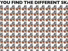 Can You Find The Different Skate?