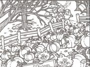 Hidden Picture: Pumpkin Patch.