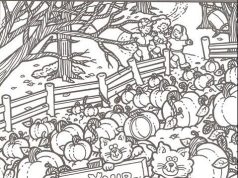 Hidden Picture: Pumpkin Patch.